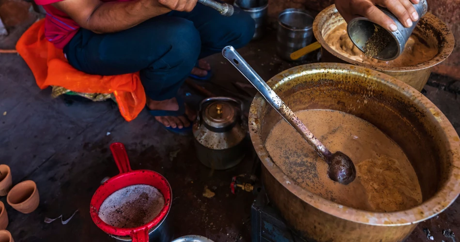 Jaipur Beyond the Palaces: Discovering the City’s Cultural Soul